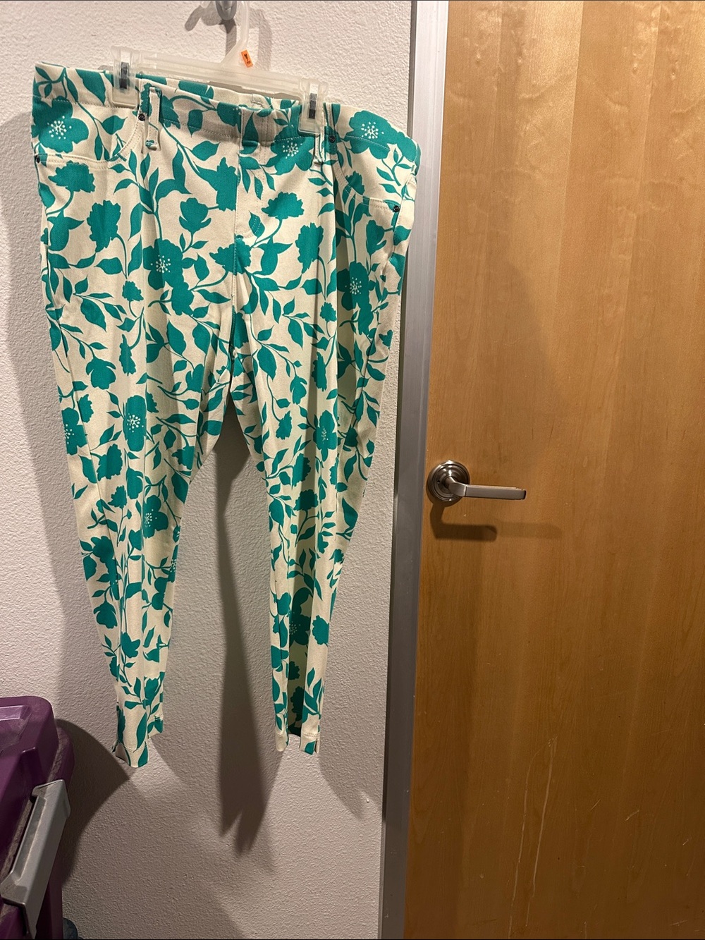 Time and Tru Cream Skinny Pants with Teal Floral Print